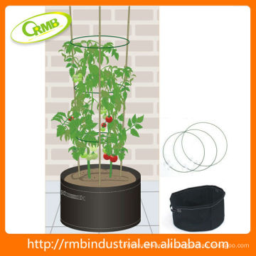 Plantador de tomate no jardim (RMB)